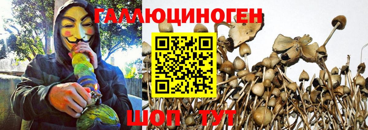 Галлюциногенные грибы мухоморы Бахчисарай